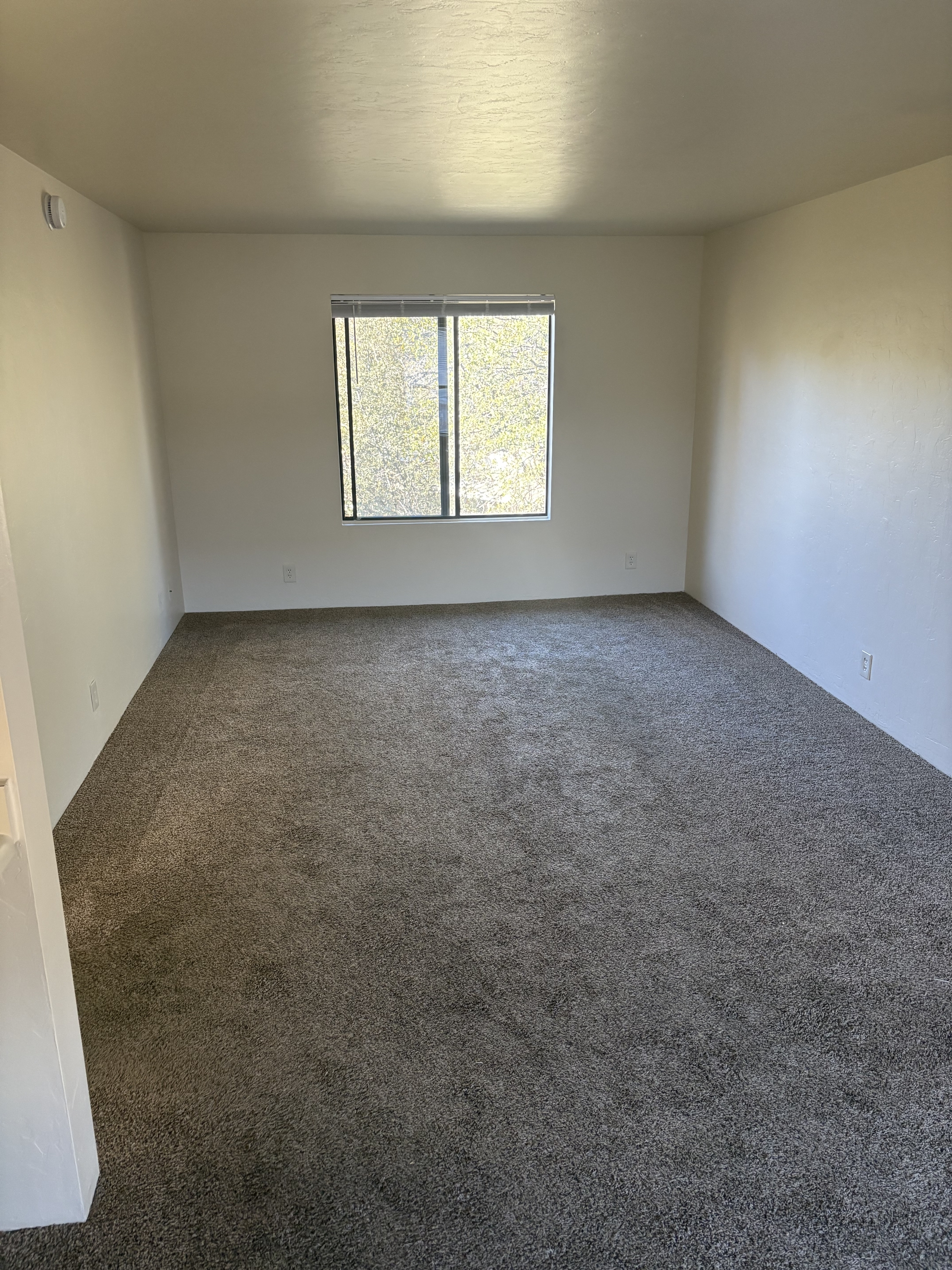 824 West Gurley Street - 238